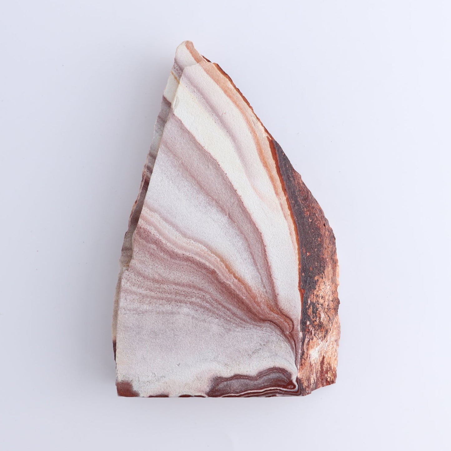 Rhyolite Slabs Set of 5 - Expert Wholesale and Supplier of Wholesale Crystals & Bulk Gemstones, ["Rhyolite","Slices and Slabs"]