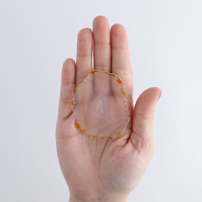 Iris Agate Slices Set of 6 - Expert Wholesale and Supplier of Wholesale Crystals & Bulk Gemstones, ["Agate","Iris Agate","Slices and Slabs"]