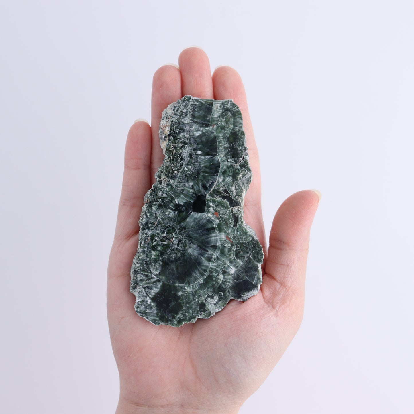Seraphinite Slices Set of 4 - Expert Wholesale and Supplier of Wholesale Crystals & Bulk Gemstones, ["Seraphinite","Slices and Slabs"]