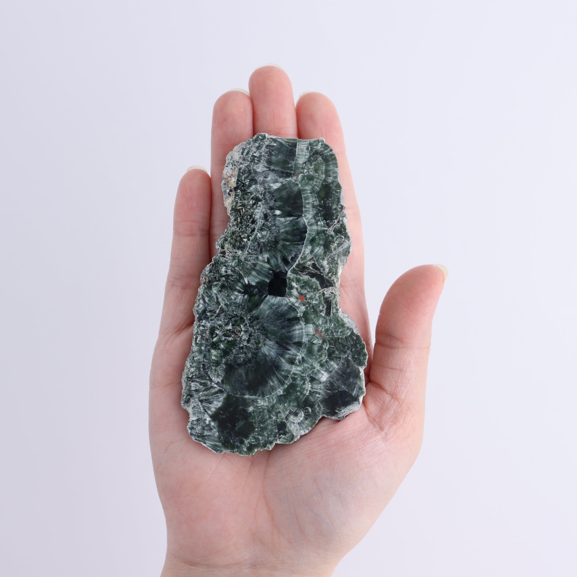 Seraphinite Slices Set of 4 - Expert Wholesale and Supplier of Wholesale Crystals & Bulk Gemstones, ["Seraphinite","Slices and Slabs"]