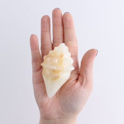 One Mexican Onyx/Calcite Shell Cut Base Beige/Honey