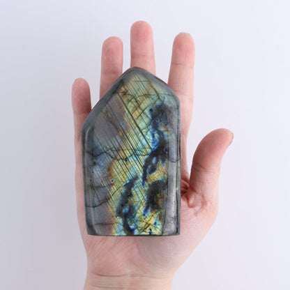 Labradorite Freeform Set of 7