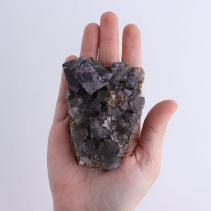 Fluorite Purple Rain Pocket Set of 8 - Expert Wholesale and Supplier of Wholesale Crystals & Bulk Gemstones, ["close_50","England","Fluorite","Purple Rain Pocket","Rough"]