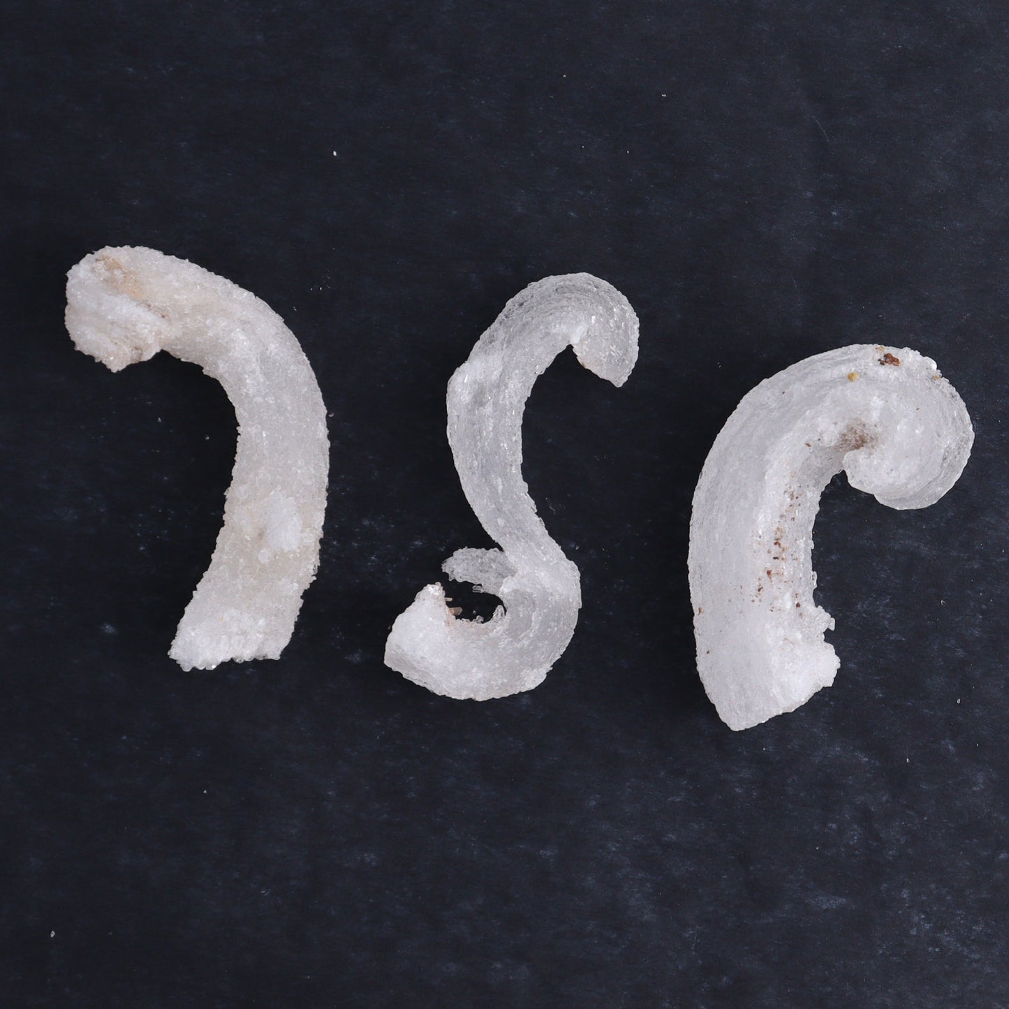 Rams Horn Selenite Set of 10 - Expert Wholesale and Supplier of Wholesale Crystals & Bulk Gemstones, ["Freeform","Freeforms","selenite"]