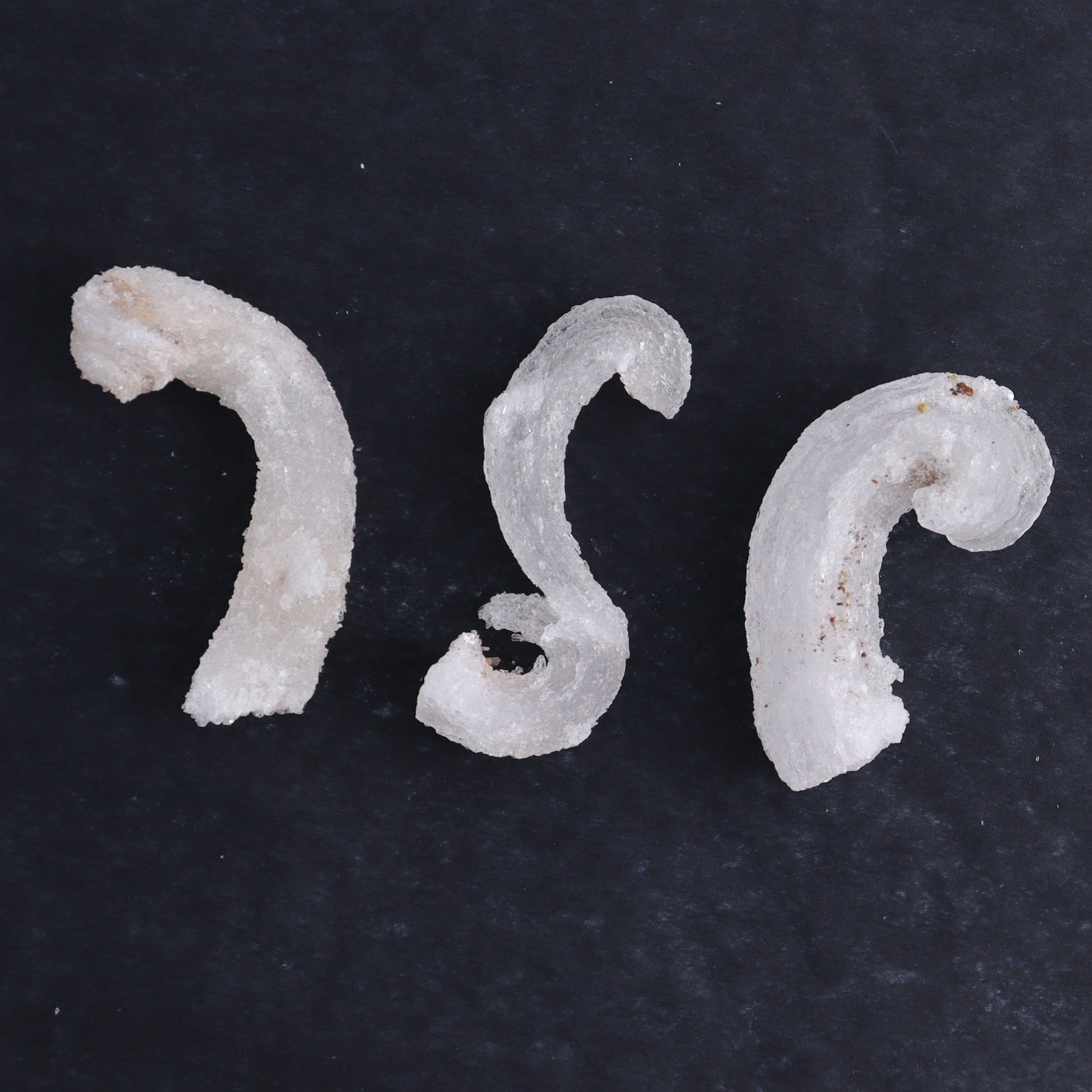 Rams Horn Selenite Set of 10 - Expert Wholesale and Supplier of Wholesale Crystals & Bulk Gemstones, ["Freeform","Freeforms","selenite"]