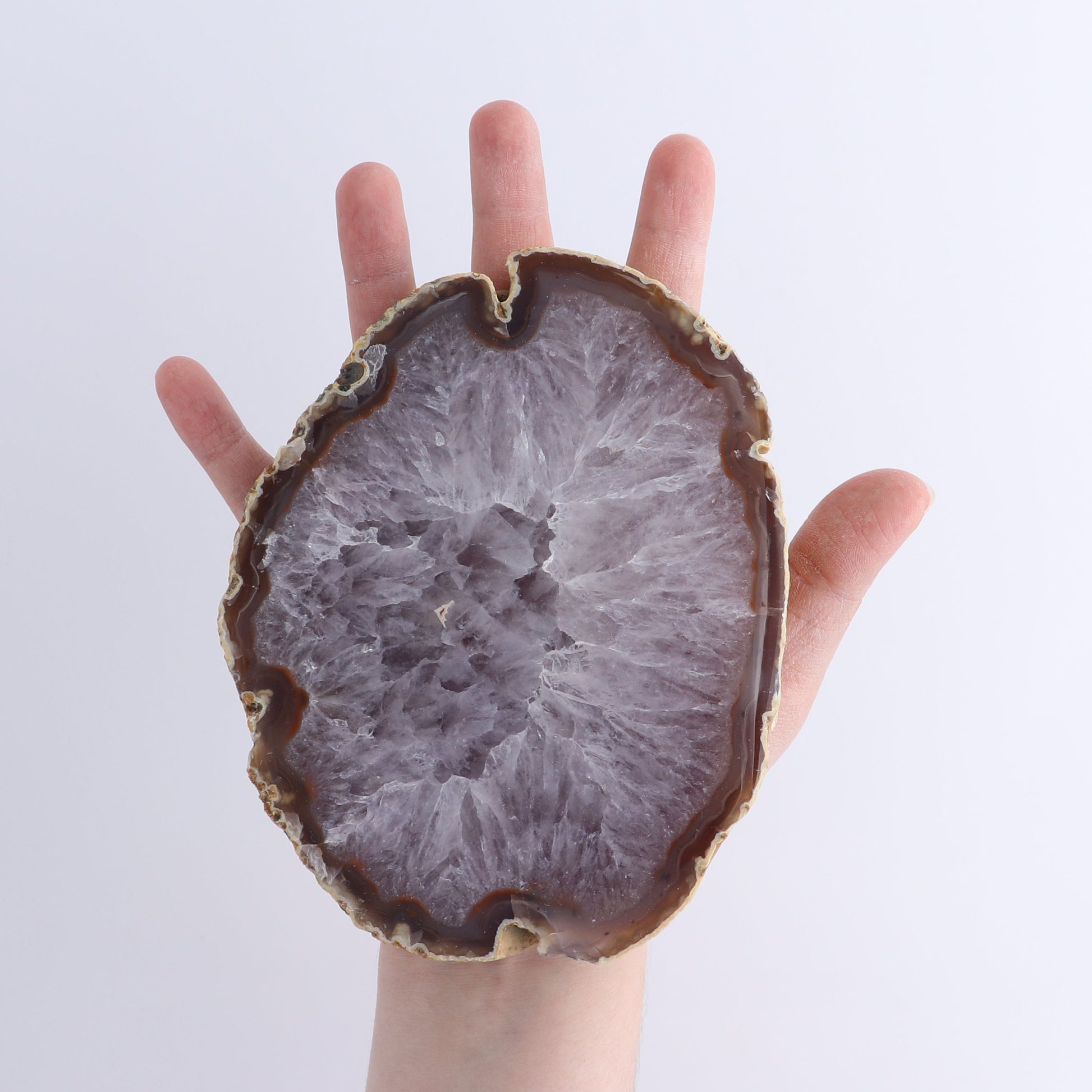 Agate Slices Set of 5 - Expert Wholesale and Supplier of Wholesale Crystals & Bulk Gemstones, ["Agate","Brazil","Slices and Slabs"]