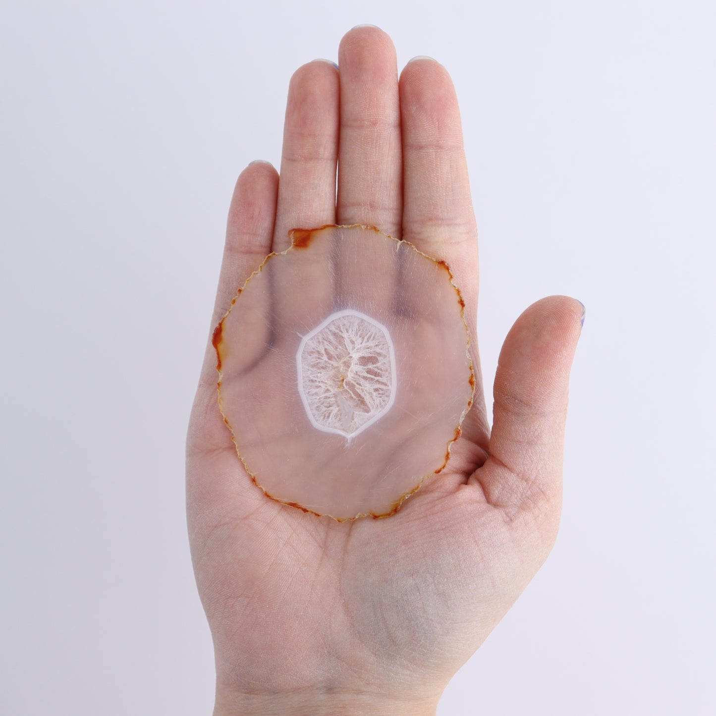 Iris Agate Slices Set of 6 - Expert Wholesale and Supplier of Wholesale Crystals & Bulk Gemstones, ["Agate","Iris Agate","Slices and Slabs"]