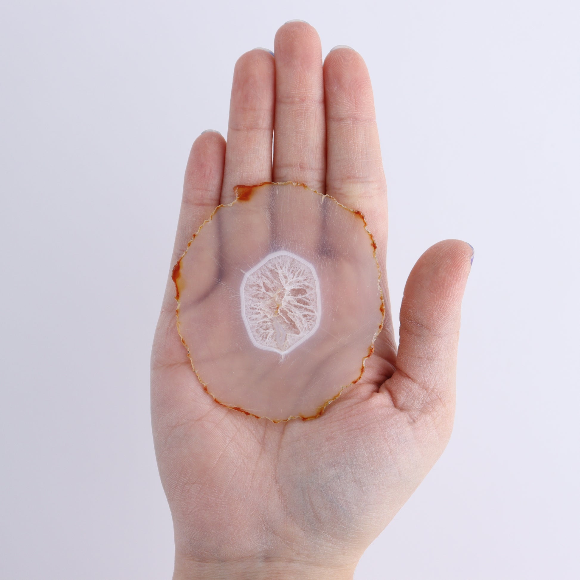 Iris Agate Slices Set of 6 - Expert Wholesale and Supplier of Wholesale Crystals & Bulk Gemstones, ["Agate","Iris Agate","Slices and Slabs"]