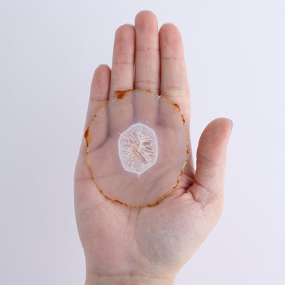 Iris Agate Slices Set of 6 - Expert Wholesale and Supplier of Wholesale Crystals & Bulk Gemstones, ["Agate","Iris Agate","Slices and Slabs"]