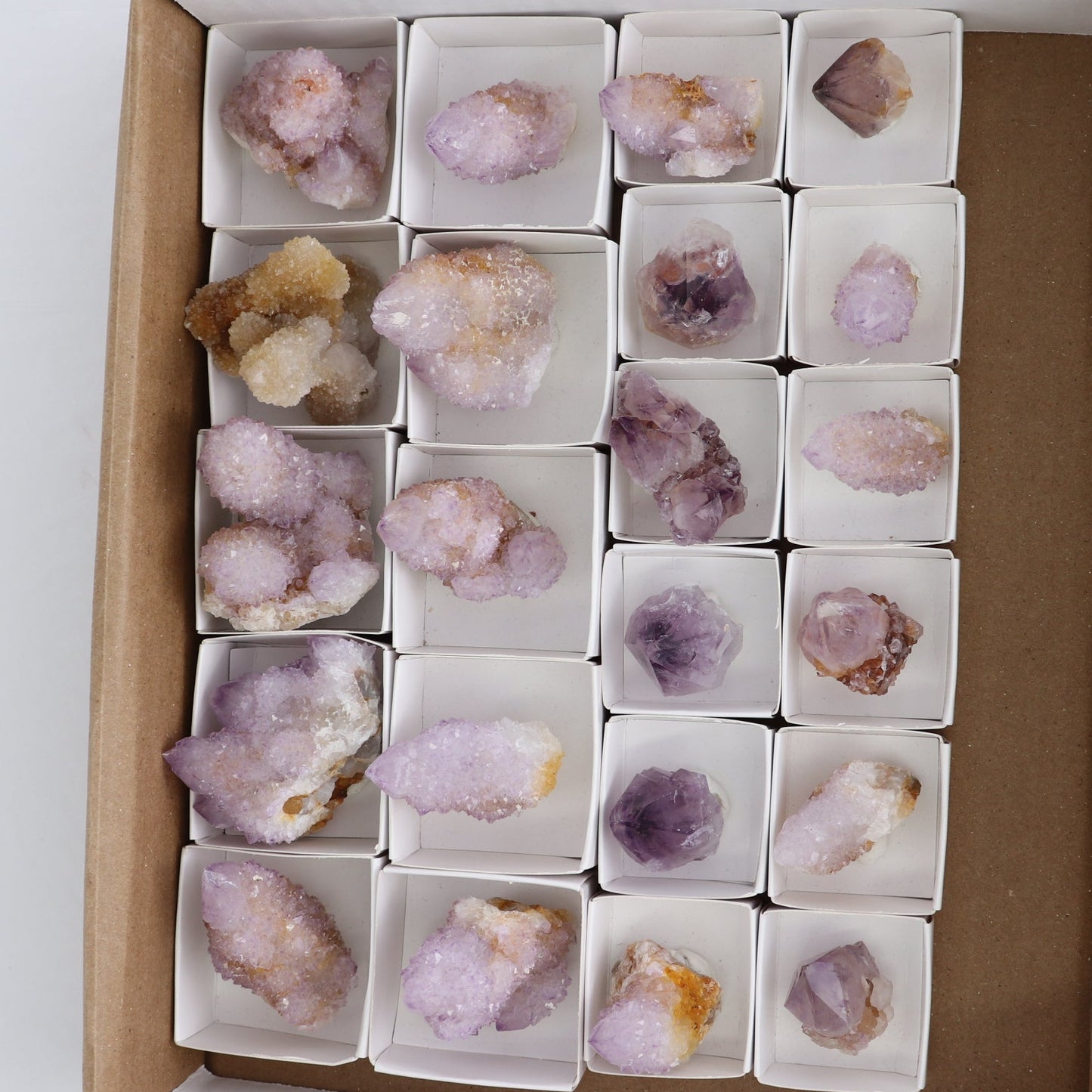 Cactus Quartz Set of 22