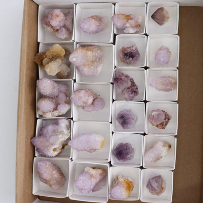 Cactus Quartz Set of 22