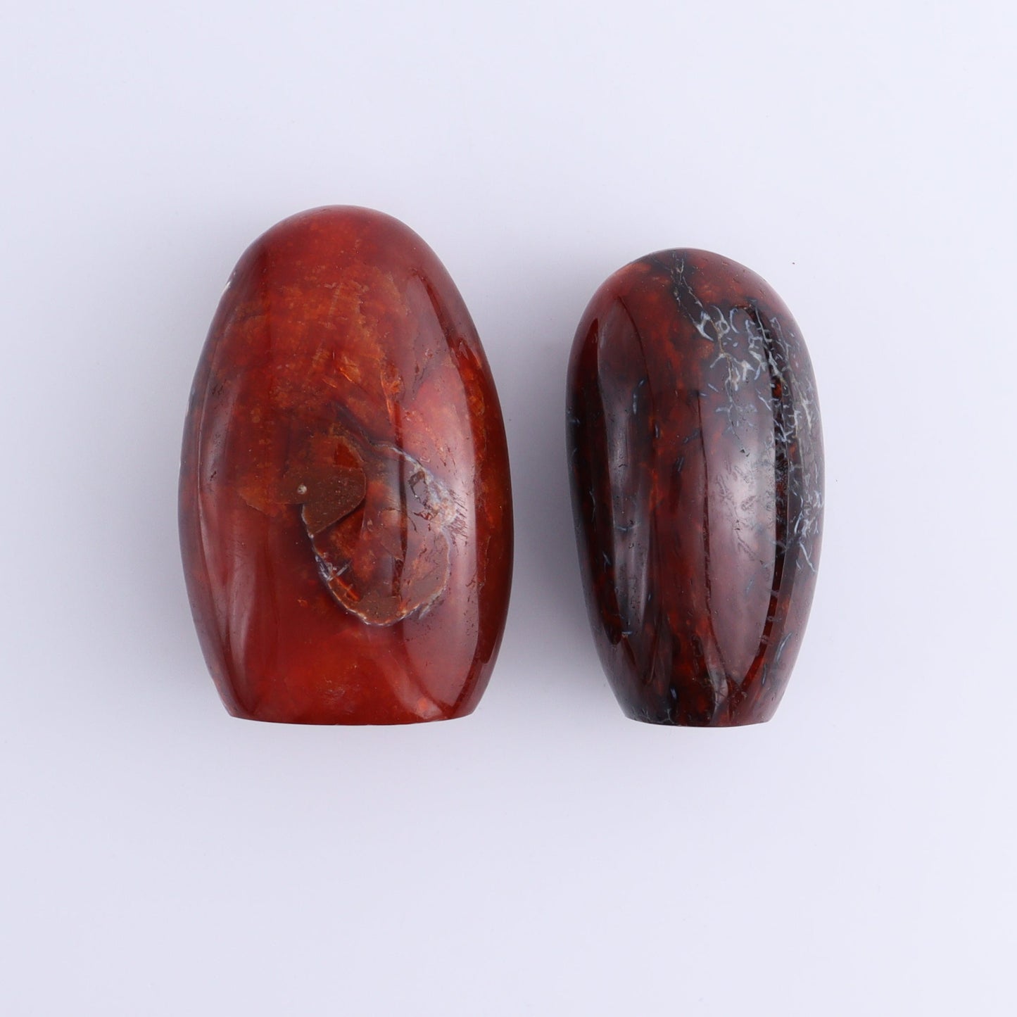 Carnelian Freeforms Set of 8 - Expert Wholesale and Supplier of Wholesale Crystals & Bulk Gemstones, ["carnelian","Freeform","Freeforms","Madagascar"]