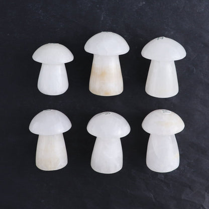 One Mushroom Mexican Onyx/Calcite White