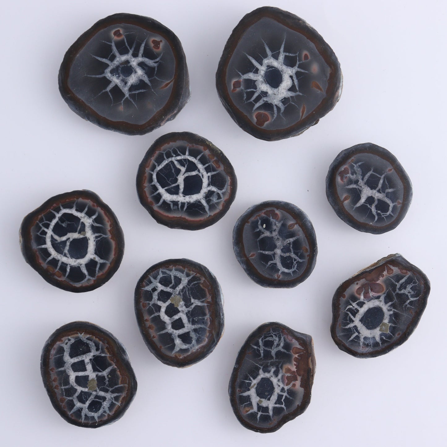 Septarian Geodes Flat - Expert Wholesale and Supplier of Wholesale Crystals & Bulk Gemstones, ["Geodes","Septarian"]