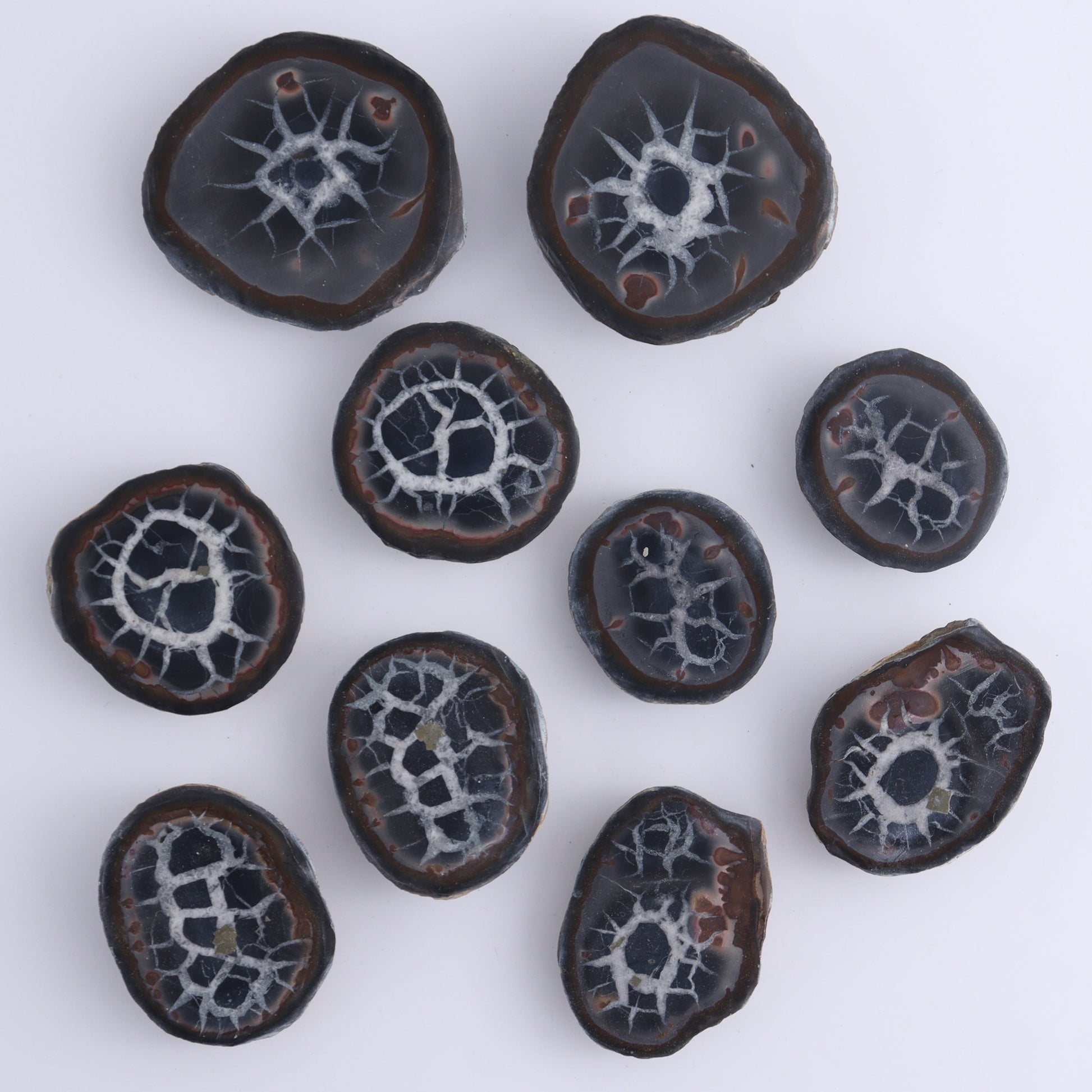 Septarian Geodes Flat - Expert Wholesale and Supplier of Wholesale Crystals & Bulk Gemstones, ["Geodes","Septarian"]