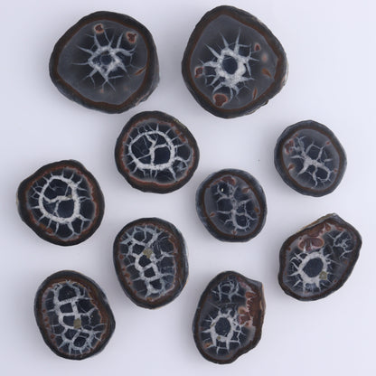 Septarian Geodes Flat - Expert Wholesale and Supplier of Wholesale Crystals & Bulk Gemstones, ["Geodes","Septarian"]