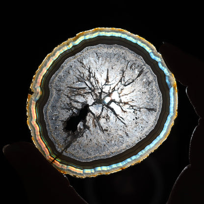 Iris Agate Slices Set of 6 - Expert Wholesale and Supplier of Wholesale Crystals & Bulk Gemstones, ["Agate","Iris Agate","Slices and Slabs"]