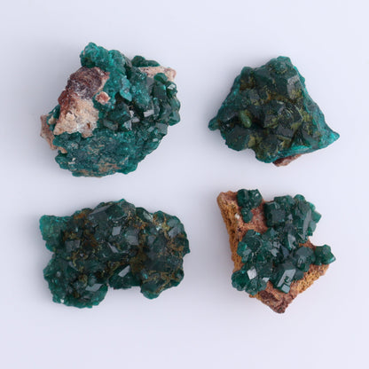 Dioptase Set of 12 - Expert Wholesale and Supplier of Wholesale Crystals & Bulk Gemstones, ["dioptase","Freeform","Freeforms"]