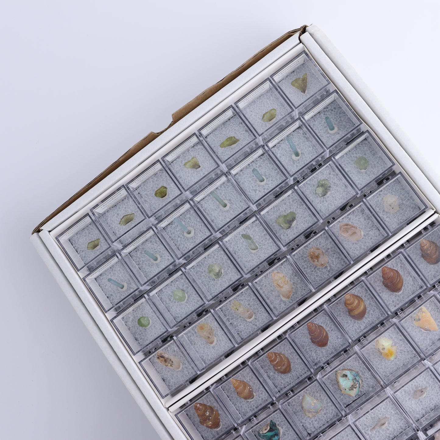 Mixed Mineral Thumbnails Flat