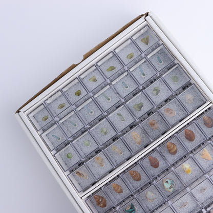 Mixed Mineral Thumbnails Flat