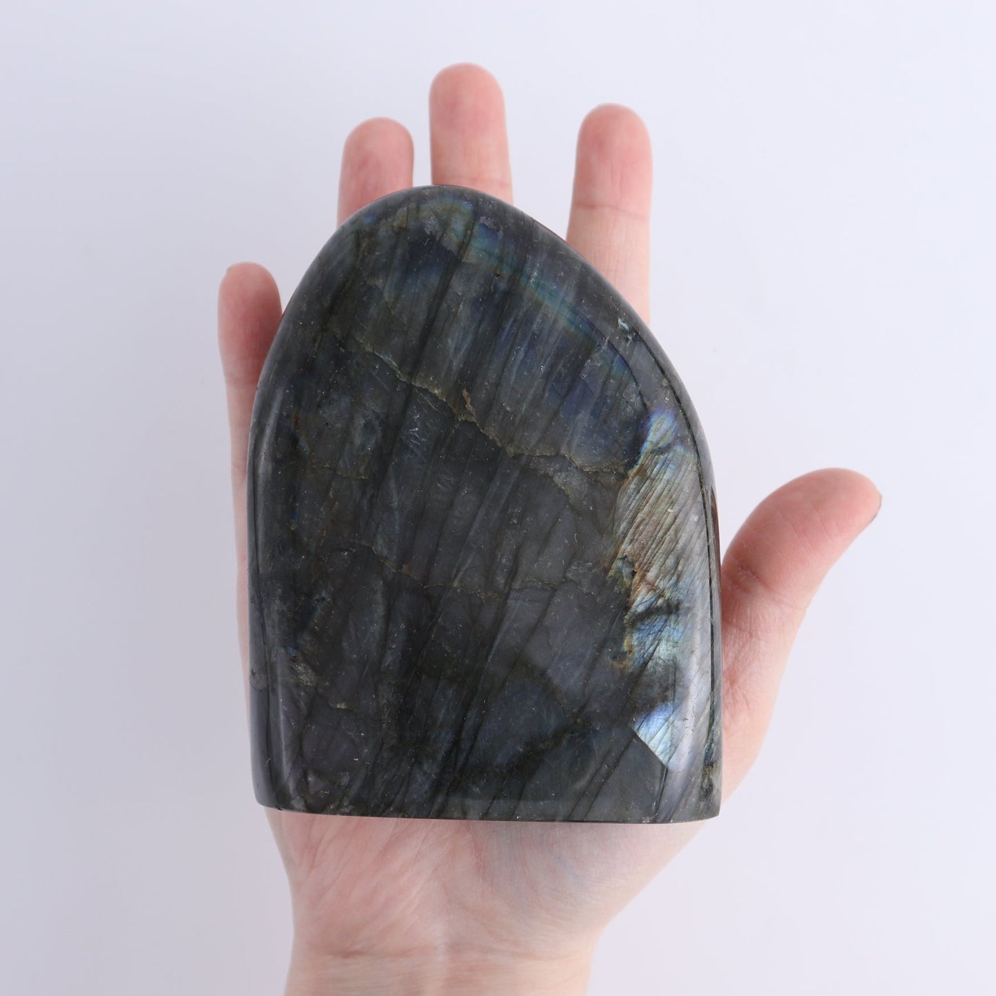 Labradorite Freeform Set of 7