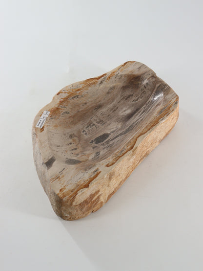 Petrified Wood Bowl