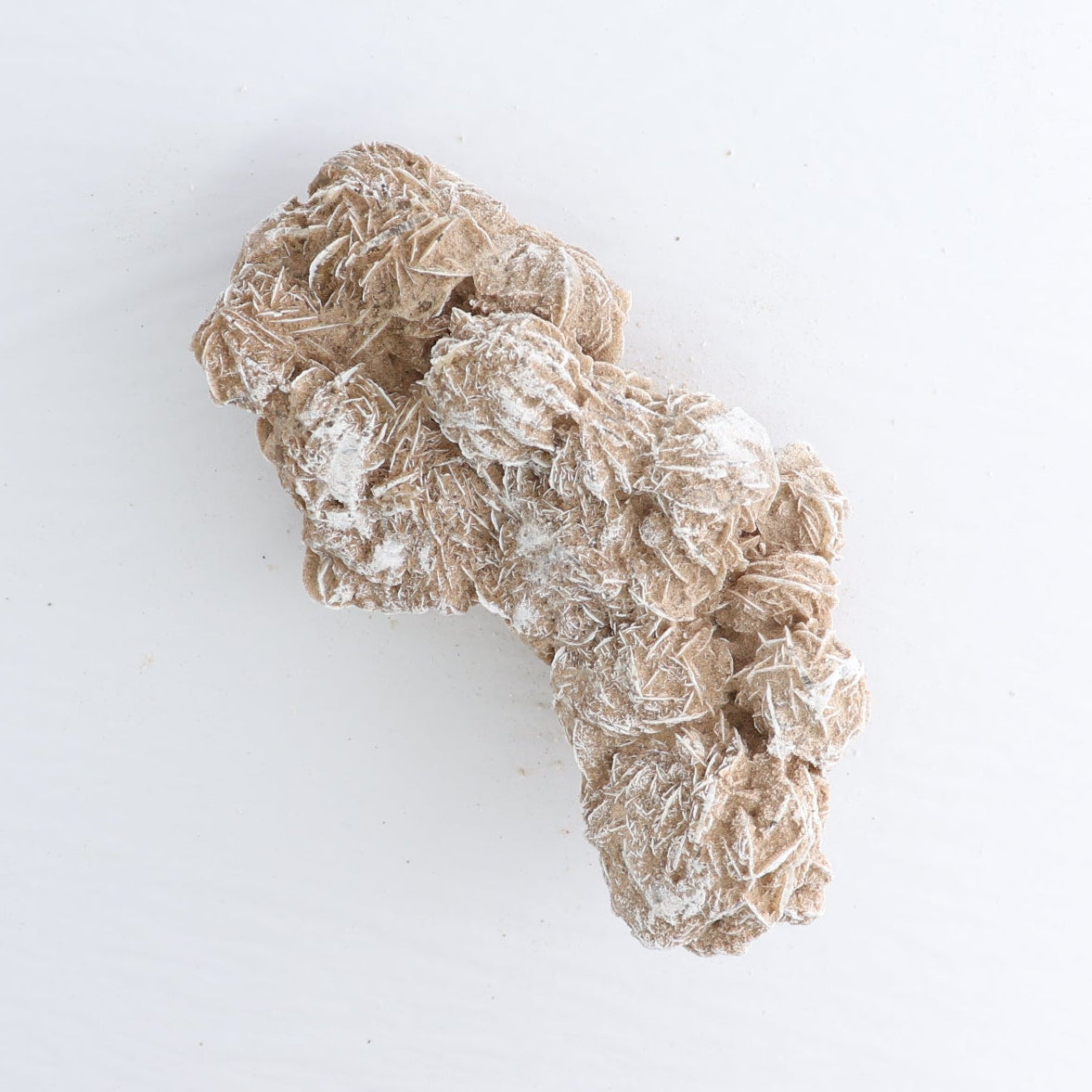 Desert Rose Set of 3