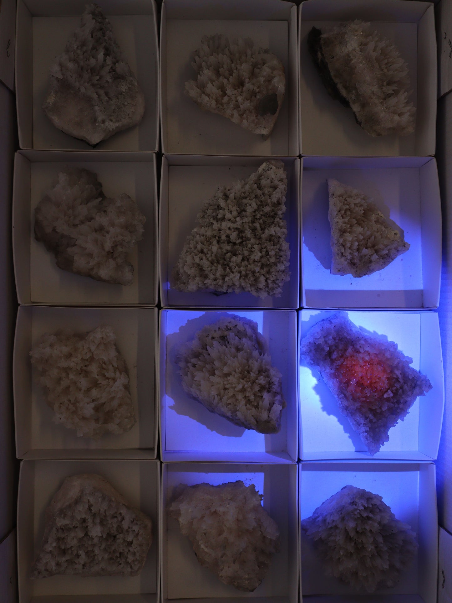 Mangano Calcite Flat Set of 12 - Expert Wholesale and Supplier of Wholesale Crystals & Bulk Gemstones, []