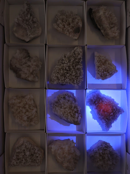 Mangano Calcite Flat Set of 12 - Expert Wholesale and Supplier of Wholesale Crystals & Bulk Gemstones, []