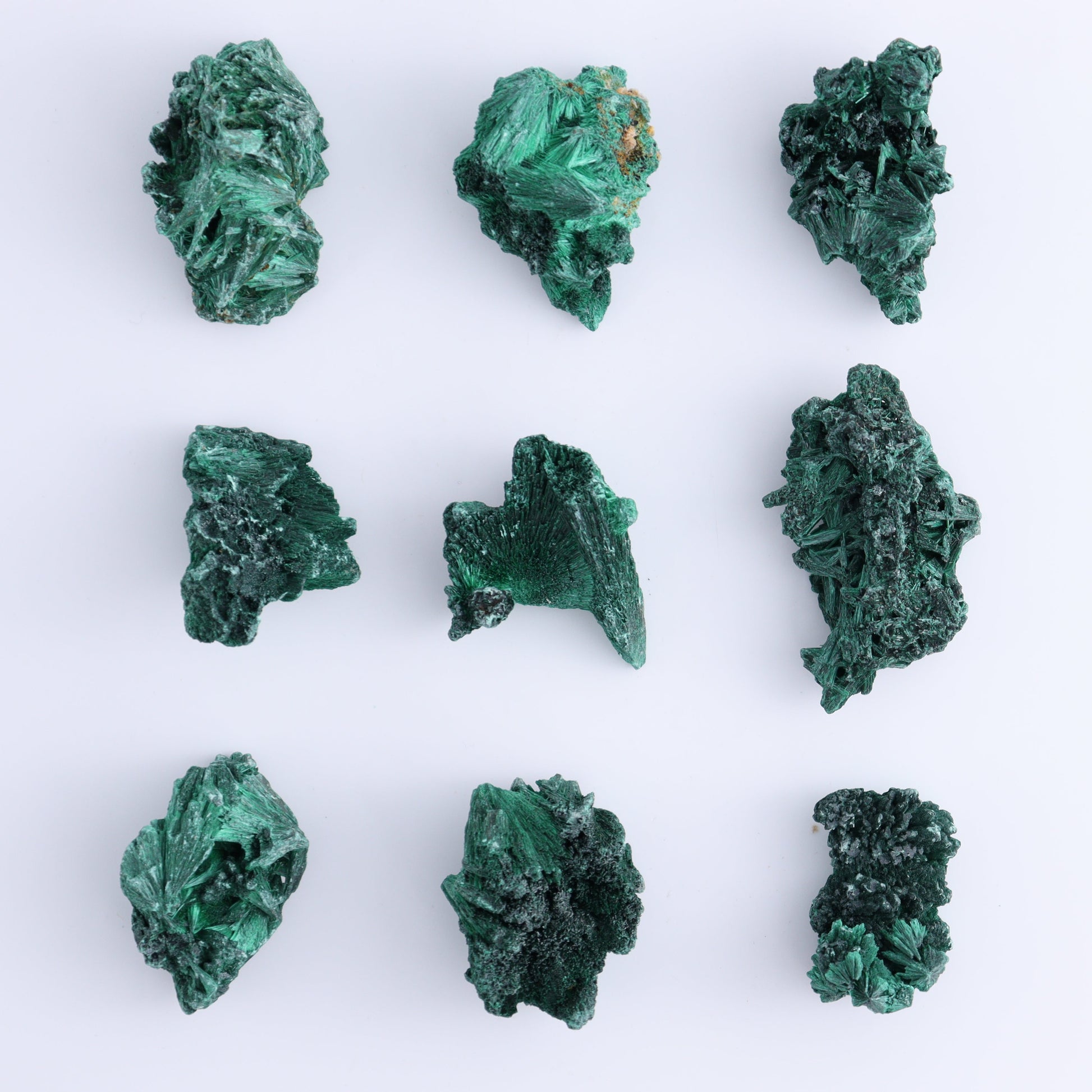 Fibrous Malachite Freeforms Set of 35 - Expert Wholesale and Supplier of Wholesale Crystals & Bulk Gemstones, ["Congo","Fibrous Malachite","Freeform","Malachite"]