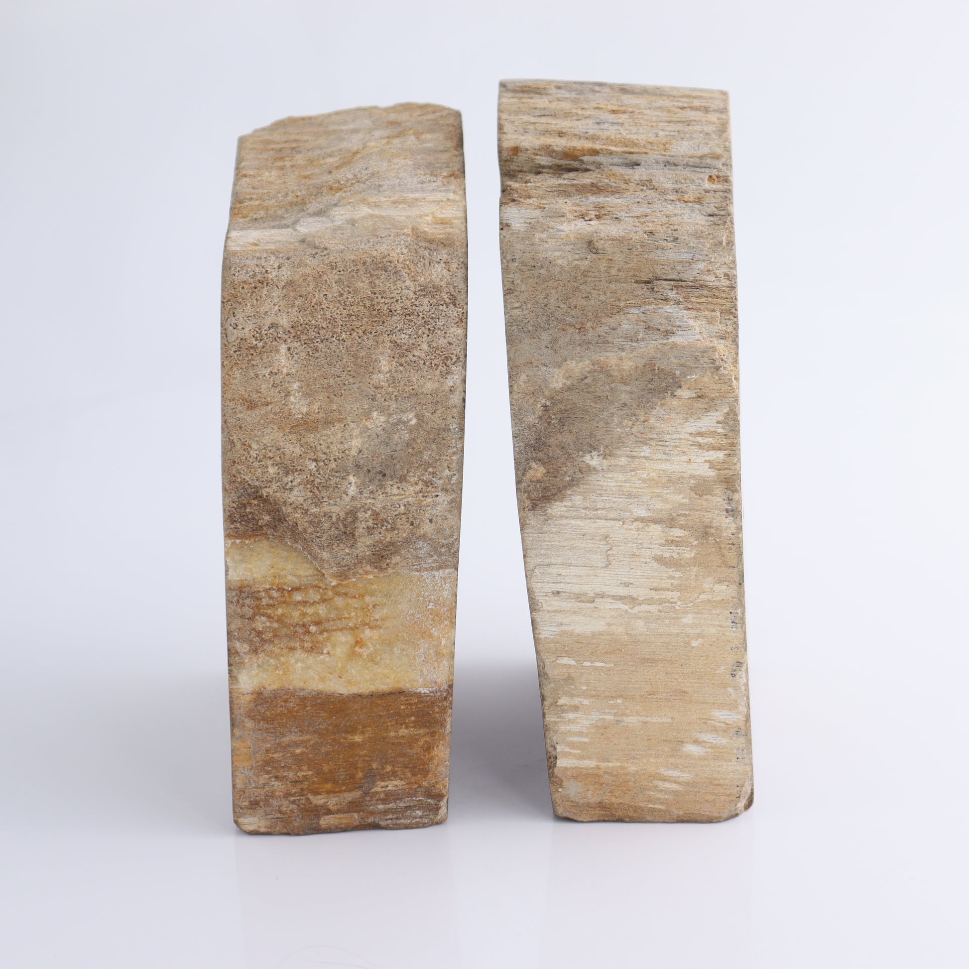 Bookends Petrified Wood - Expert Wholesale and Supplier of Wholesale Crystals & Bulk Gemstones, ["Bookends","Indonesia","Petrified Wood"]