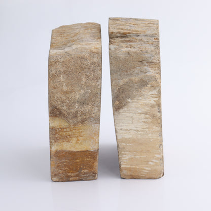 Bookends Petrified Wood - Expert Wholesale and Supplier of Wholesale Crystals & Bulk Gemstones, ["Bookends","Indonesia","Petrified Wood"]