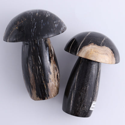 Petrified Wood Mushrooms Set of 4 - Expert Wholesale and Supplier of Wholesale Crystals & Bulk Gemstones, ["Indonesia","Mushrooms","Petrified Wood"]
