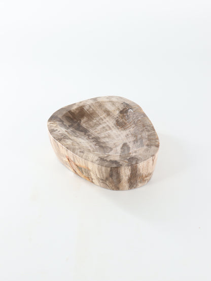 Petrified Wood Bowl - Expert Wholesale and Supplier of Wholesale Crystals & Bulk Gemstones, []