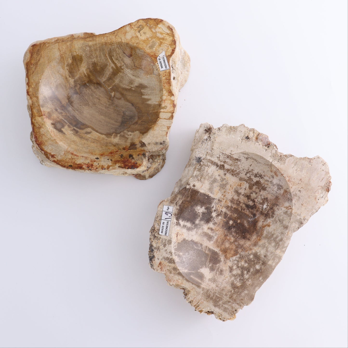 Petrified Wood Bowls Set of 2