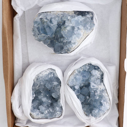 Celestite Clusters Set of 3