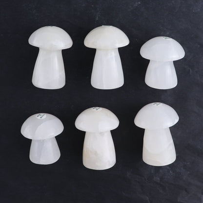 One Mushroom Mexican Onyx/Calcite White