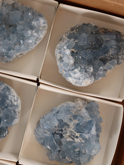 Celestite Clusters Set of 6 - Expert Wholesale and Supplier of Wholesale Crystals & Bulk Gemstones, []