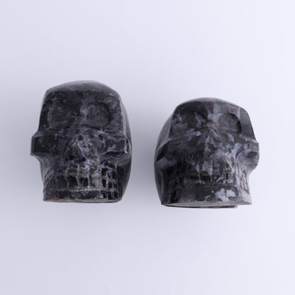 Indigo Gabbro Skulls Set of 2 - Expert Wholesale and Supplier of Wholesale Crystals & Bulk Gemstones, ["Indigo Gabbro","Madagascar","Skulls"]