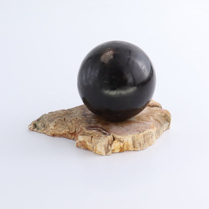 One Petrified Wood Sphere Holder