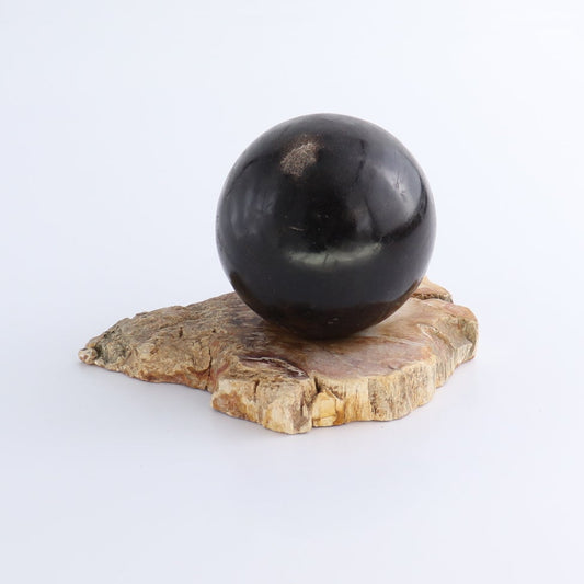 One Petrified Wood Sphere Holder