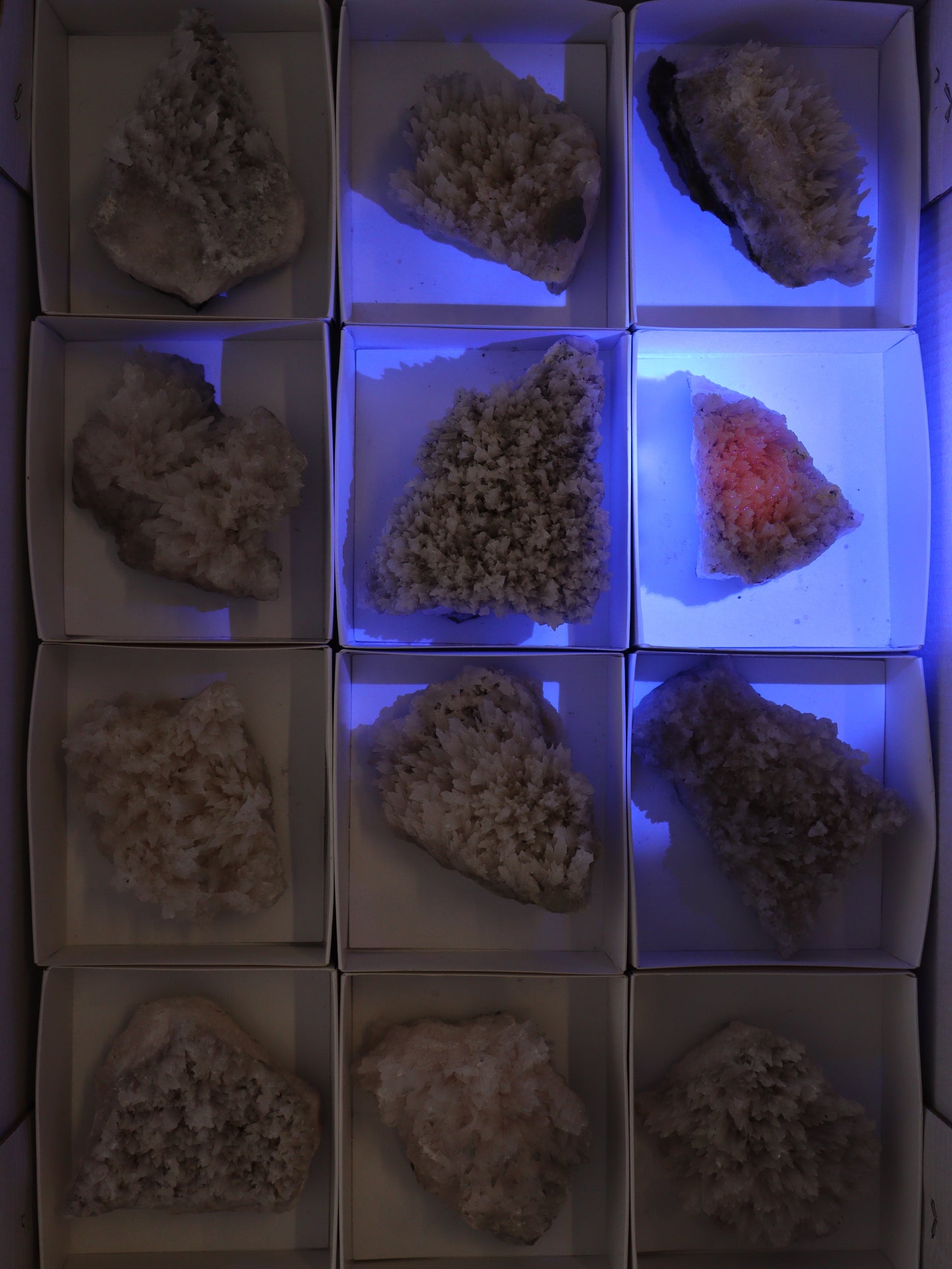 Mangano Calcite Flat Set of 12 - Expert Wholesale and Supplier of Wholesale Crystals & Bulk Gemstones, []