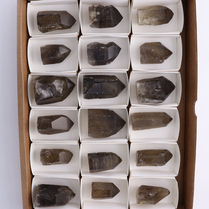 Smoky Quartz Polished Tops Set of 18 - Expert Wholesale and Supplier of Wholesale Crystals & Bulk Gemstones, ["Brazil","close_70","Points","Polished Tip","Quartz","Smoky Quartz"]