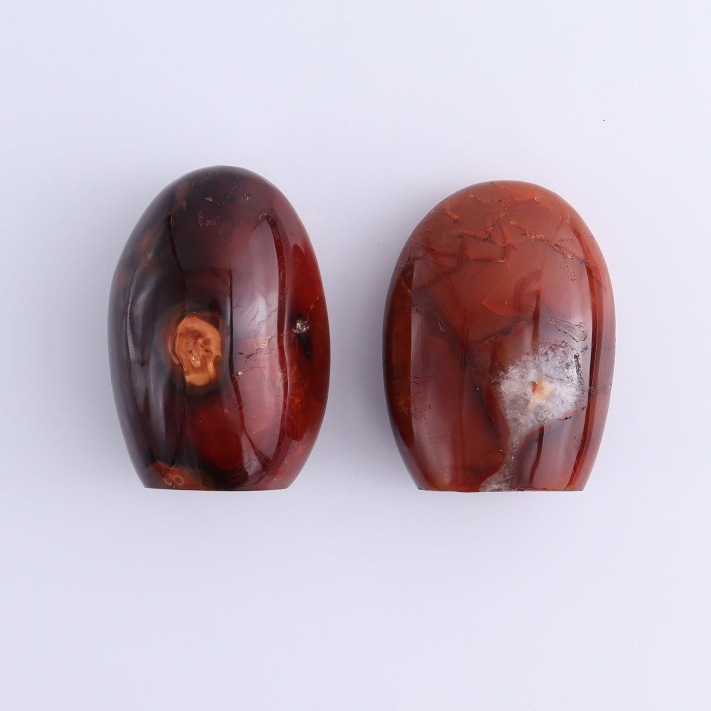 Carnelian Freeforms Set of 8 - Expert Wholesale and Supplier of Wholesale Crystals & Bulk Gemstones, ["carnelian","Freeform","Freeforms","Madagascar"]