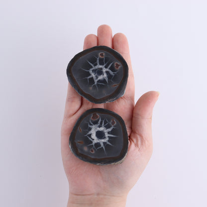 Septarian Geodes Flat - Expert Wholesale and Supplier of Wholesale Crystals & Bulk Gemstones, ["Geodes","Septarian"]