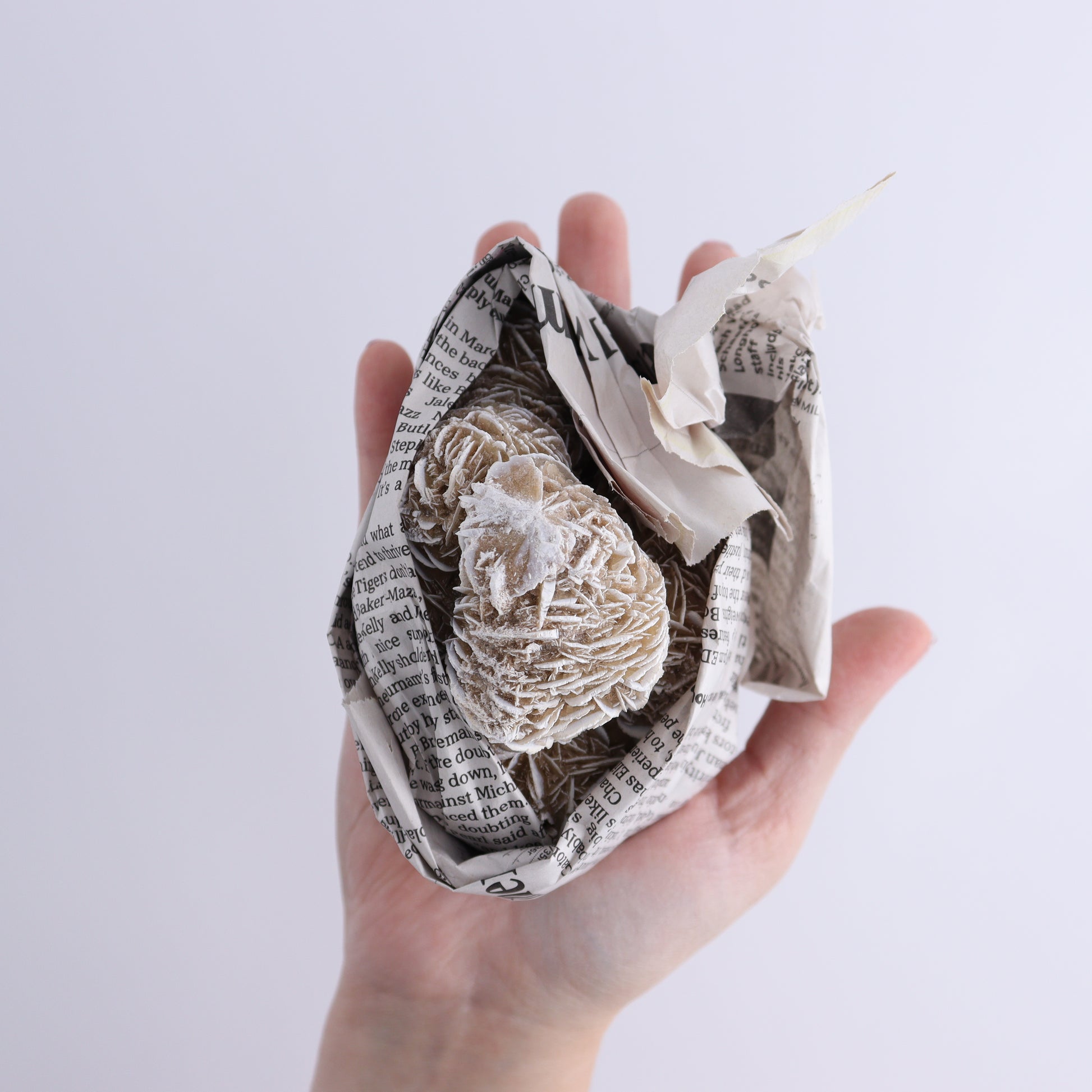 Desert Rose Set of 11 - Expert Wholesale and Supplier of Wholesale Crystals & Bulk Gemstones, ["Desert Rose","Freeforms","Morocco"]