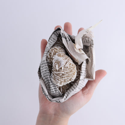 Desert Rose Set of 11 - Expert Wholesale and Supplier of Wholesale Crystals & Bulk Gemstones, ["Desert Rose","Freeforms","Morocco"]