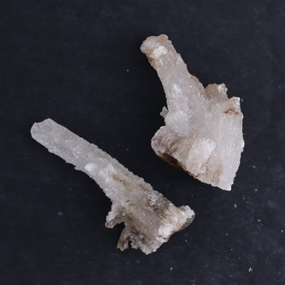 Rams Horn Selenite Set of 10 - Expert Wholesale and Supplier of Wholesale Crystals & Bulk Gemstones, ["Freeform","Freeforms","selenite"]