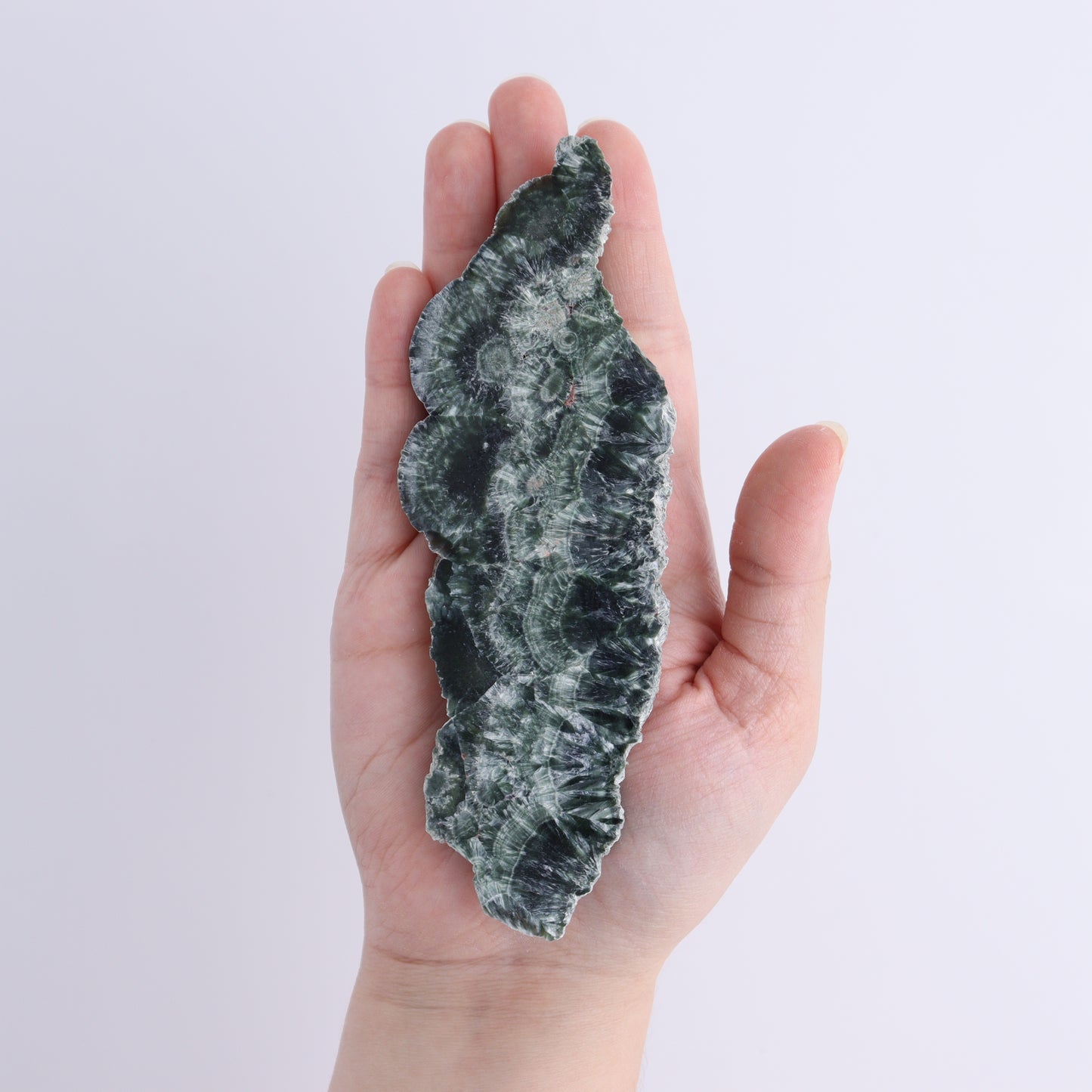 Seraphinite Slices Set of 4 - Expert Wholesale and Supplier of Wholesale Crystals & Bulk Gemstones, ["Seraphinite","Slices and Slabs"]