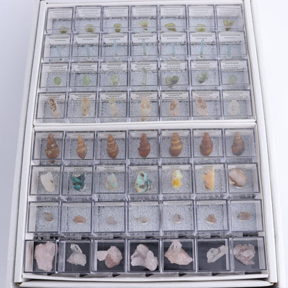 Mixed Mineral Thumbnails Flat